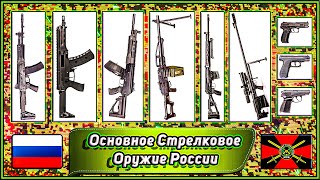 Основное Стрелковое Оружие СССР и России 🏹