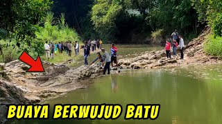 VIRAL !! BUAYA BERWUJUD BATU DITEMUKAN WARGA JOMBANG