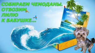 Путешествие в лето | СОБИРАЕМ ЧЕМОДАНЫ НА МОРЕ | Отвозим Лили |Часть 1