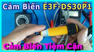 Cảm Biến Tiệm Cận Hồng Ngoại E3F-DS30P1 PNP | Sensor E3F-DS30P1 PNP