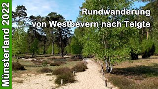 Münsterland 2022: Rundwanderung von Westbevern nach Telgte | Klatenberge | Ems-Ufer