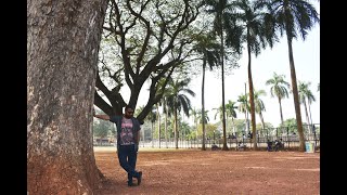 Basilica Bom Jesus & Catholic CHURCH And Wax World Museum #basilicabomjesus #church #goa