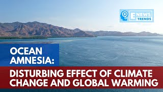 Ocean Amnesia: Disturbing Effect of Climate Change and Global Warming