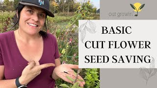 Saving your cut flower seeds can save you some serious cash!