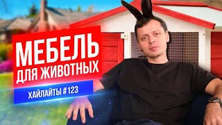 Мебель для животных | Виктор Комаров | Стендап Импровизация #123