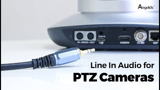 Line in Audio for PTZ Cameras