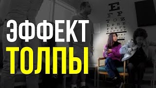 Эффект толпы - социальный эксперимент / Brain games - social conformity