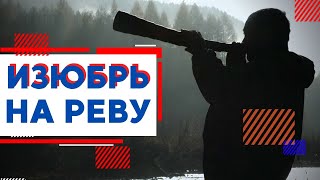 Охота на изюбря на реву | Северный Байкал | Nord Baikal