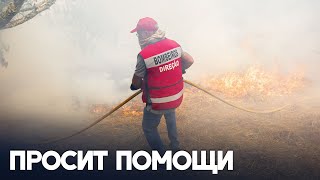 Португалия обратилась к ЕС в связи с лесными пожарами