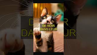 Les couleurs du monde selon les chats : Un fait surprenant !