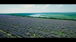 Место, где стоит побывать всем. Приднестровье