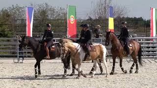 Cow Test (2nd part) – European Championship Working Equitation – Obořiště (CZE) 22. 9. 2024