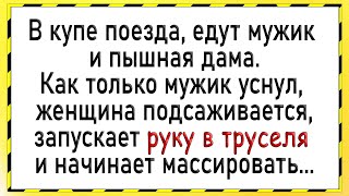 Как пышная дама любила в поезде того... Сборник свежих анекдотов! Юмор!