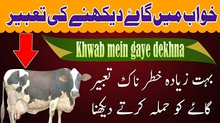 Khwab mein gaye dekhna خواب میں گاۓ دیکھنا-@Ummat ki islah-Allama Muhammad Shazaib Gulzar