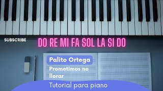 Prometimos no llorar - Palito Ortega Música con Adán bonito arpegio, solo teclas blancas #teclado