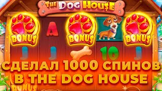 СДЕЛАЛ 1000 СПИНОВ В THE DOG HOUSE! ЭТО ПРОСТО ЖЕСТЬ.. ALL IN И ЗАНОСЫ НЕДЕЛИ ОНЛАЙН