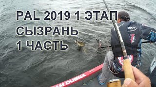 PAL 2019 Сызрань 1 день TEAM DUBNA