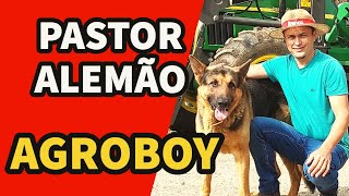 Pastor Amelão Agroboy