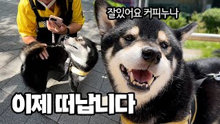 그동안 너무 감사했습니다...!!