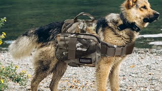 Camouflage Dog Backpack Saddle Bag Rucksack