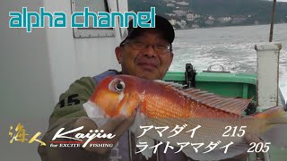 海人アマダイ／ライトアマダイ　実釣&解説