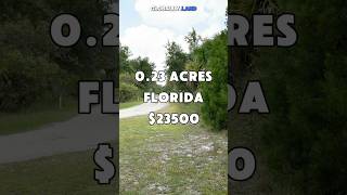 0.23 Acres with direct road access for Sale in Punta Gorda, Florida for $23,500. #shorts #reels #fyp