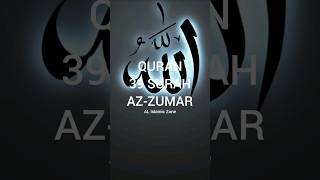 39 SURAH AZ-ZUMAR 3 urdu translation short part-2 #allah #quran #islam #surahazzumar   #shorts