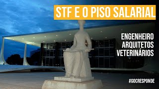 A decisão do STF sobre os pisos salariais dos engenheiros, arquitetos, veterinários