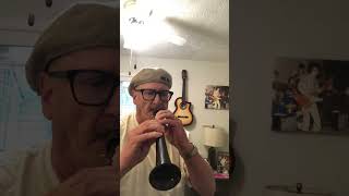 Learned My First Tune On The Pocket Saxophone (Xaphoon)