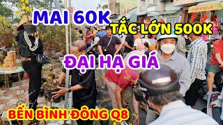 BẾN BÌNH ĐÔNG, Đông Nghẹt Người Mua, ĐẠI HẠ GIÁ CHỐT ĐƠN LIÊN TỤC, Mai 60K, Tắc 500K Quá Đẹp