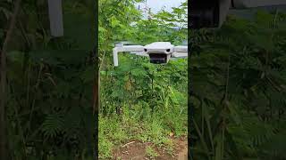 Dji mini 2 #djimini2 #flying #shorts