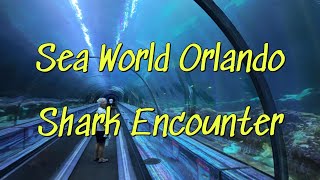 Sea World Shark Encounter