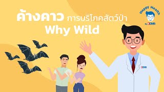 Happy Health by BDMS EP 48 ค้างคาว การบริโภคสัตว์ป่า (Why Wild)