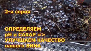 ДОМАШНЕЕ ВИНОДЕЛИЕ. 2 я серия. ОПРЕДЕЛЯЕМ рН и САХАР ВИНОГРАДА. УЛУЧШАЕМ КАЧЕСТВО будущего ВИНА