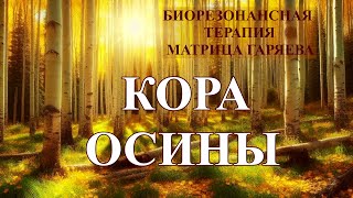 Кора Осины💎Биорезонансная терапия БРТ+ Матрица Гаряева🎧Aspen Bark💎BRT + MG