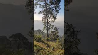 Morning 🧡 #meadows #uttrakhand #himalayas #shivalik #atifaslam #vibes #bugyal #garhwal