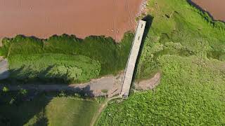 Bay of Fundy - Tide viewing site (Colchester County) July 18 - 2020 0140