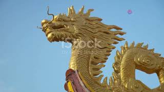 The Forbidden City_ Unveiling China's