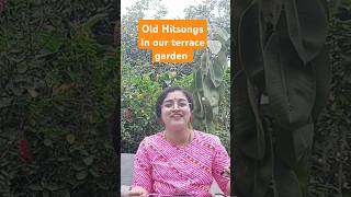 Old songs jamming/singing session in our terracegarden #oldhitsong #songs #teluguhitsongs #garden