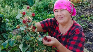 Приехали помощники //Мама с сестрой работают а я сижу🤦// мама кормит с руки 🥰//