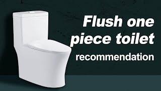 Best Flush One Piece Toilet in 2022