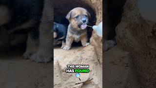 These Homeless Puppies Drank Milk 😲  🫢  #shortsviral #shorts