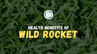 Health Benefits Of Wild Rocket