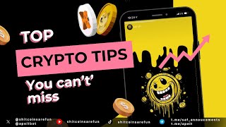 Top Crypto Tips for Newbies: How to Start and What to Avoid [2024 Insights]