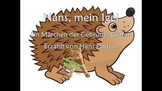 Hans, mein Igel - Märchen - Hörspiel