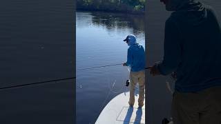 The anticipation #tarponfishing #flyfishing #hellsbayboatworks #tarpon #swflorida