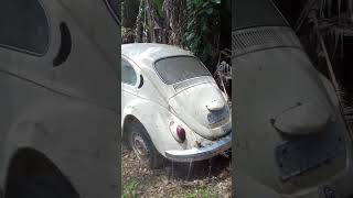 Fusca abandonado, carro antigo, parte 2