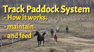 Our Track Paddock System for Horses - How it works,  hay feeders, and we maintain the clean up