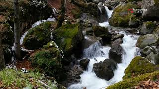 View River Calm Nature