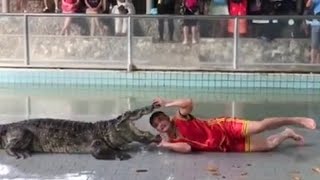 Crocodile  attack ||Bangkok||Death defying  stunt || Thailand||Pataya ||Crocodile  farm||Shocking